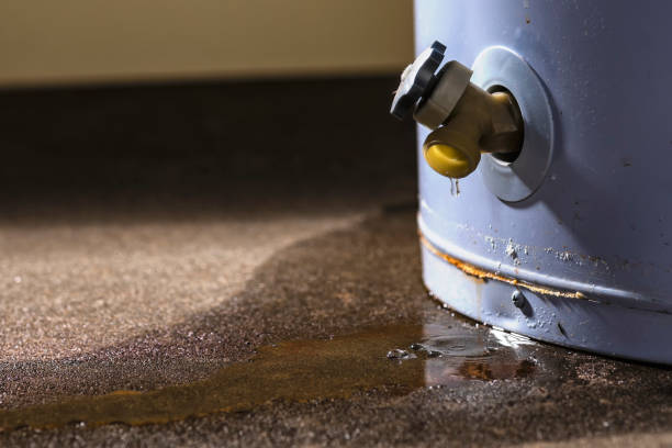 Best Residential water damage restoration  in Smethport, PA