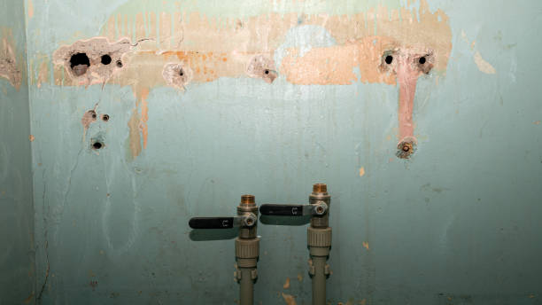 Best Local water damage restoration  in Smethport, PA