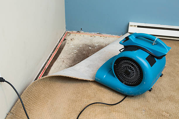 Best Water damage restoration near me  in Smethport, PA